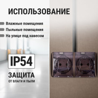 Двойная розетка TDM ELECTRIC 2П+3 открытой установки IP54 16А с прозрачной крышкой шоколад "Селигер" SQ1818-0209