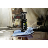Чистящее средство для салона Karcher RM 651 0.5 л 6.296-106