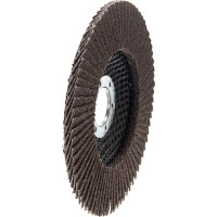 Круг лепестковый торцевой (125х22.2 мм; P60) Ultima 116016