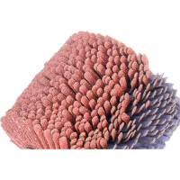 Валик (110х100х19 мм; абразивная ткань P60) ОСБОРН 6-051 PLM.RB11010019CP60