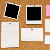 Кнопки канцелярские EVERYDAY 12мм Staff, в картонной коробке 14 упаковок по 100 шт 220009