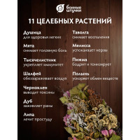 Травяной букет для бани Банные Штучки Тонизирующий 31170