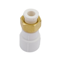 Муфта Blue Ocean PPR с накидной гайкой и вставкой из ППР, вн., 20х1/2 1/20/200 PPRF/PPRCA-FTNBA(W)-20х1/2"