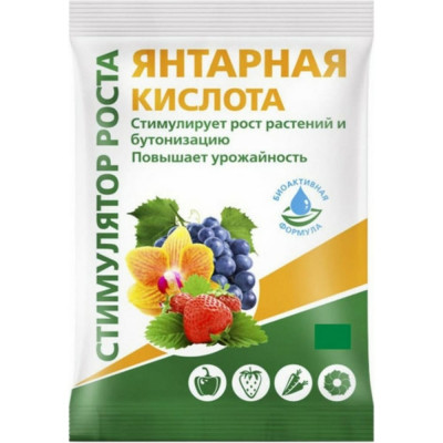 БиоМастер Янтарная кислота 4г УП000002184