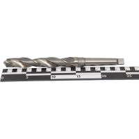 Сверло (22х150х248 мм; к/х; Р6М5) ТРЭЛ ds20220