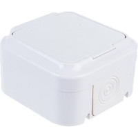 Розетка Bylectrica 1-местная ОУ IP54, серия ПРАЛЕСКА АКВА, белый, РА16-296