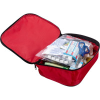 Аптечка для перевозки опасных грузов ФЭСТ сумка 0370/1 1186