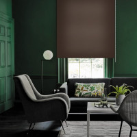 Рулонная штора PRAKTO Shantung 55х160 см, шоколад 7792638