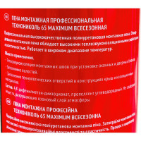 Монтажная профессиональная пена Технониколь 65 MAXIMUM всесезонная TN528370