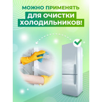 Моющее средство для ванной и туалета, очиститель акриловых ванн, раковин и душевых кабинок МАСТЕРХИМ САН ЭКСПРЕСС 500 МЛ 010КП05Т