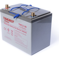 Тяговая аккумуляторная батарея EVEREST Energy TNE 12-90