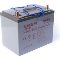 Тяговая аккумуляторная батарея EVEREST Energy TNE 12-90