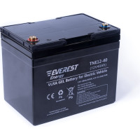 Тяговая аккумуляторная батарея EVEREST Energy TNE 12-40