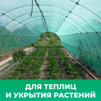 Сетка фасадная (2х10 м; 55 г/м²; зеленая) Промышленник 55210