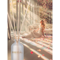 Ароматический диффузор Breesal Aroma Sphere 1001 ночь ARD/001
