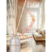 Ароматический диффузор Breesal Aroma Sphere 1001 ночь ARD/001