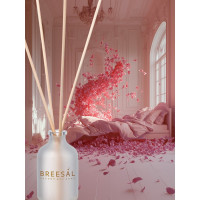 Ароматический диффузор Breesal Aroma Sphere Волнующая страсть ARD/003