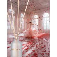 Ароматический диффузор Breesal Aroma Sphere Волнующая страсть ARD/003