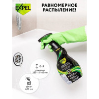 Спрей для санфаянса, 600 мл 10 TS00015