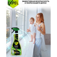 Спрей для мытья стёкол и зеркал EXPEL АНТИДОЖДЬ 450 мл, 10 с Летучей TS00014