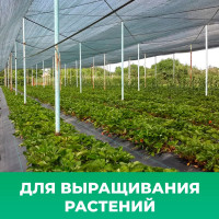 Фасадная сетка самозатухающая 2x50 м, 80 г/м² Промышленник С25080