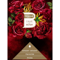 Ароматическое саше Breesal СТРАСТЬ SAC020.03/1