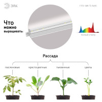 Линейный фито светильник для растений и рассады ЭРА полного спектра FITO 18W T5 Ra90 Б0049313