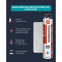 Монтажная профессиональная пена Технониколь 65 CONSTANT всесезонная TN528371