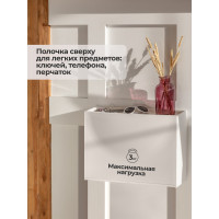 Обувница Econova 512х185х380 мм белый 433281416