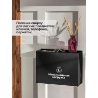 Обувница Econova 512х185х380 мм, черный 434218313