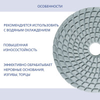 Круг алмазный шлифовальный гибкий (100 мм; Р1500) Flexione 10001558