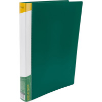 Папка INFORMAT с файлами, А4, 60 файлов, зеленая, пластик, 600 мкм, карман NP0165-60G