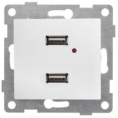 GUSI ELECTRIC МЕХ. розетки USB, двойной, СУ, жемчуг С10USB2-028