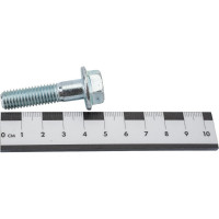 Болт с фланцем ZAMETAL 10x40 пр. 10.9, DIN 6921, оц., с насеч. 110 шт ZA082761