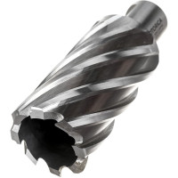 Фреза кольцевая HSS (32x55 мм; Weldon 19) ROTORICA RT.4215032