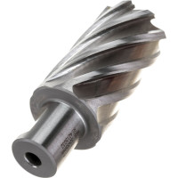 Фреза кольцевая HSS (32x55 мм; Weldon 19) ROTORICA RT.4215032