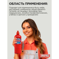 Универсальное моющее средство ПРОГРЕСС Люкс 1 л М-07-1