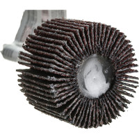 Диск лепестковый радиальный (30х20х6 мм; Р120) для дрели FIT 39558