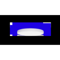 Потолочная умная лампа Yeelight Arwen Ceiling Light 450S YXDS0320001WTEU