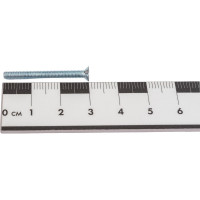 Винт с потайной головкой ВИРТУОЗ DIN965 3 х 30, 20 шт 21793