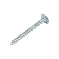 Саморезы ВИРТУОЗ 4,2х41 мм полусферическая головка с прессшайбой, острый, 25 шт 02259