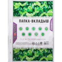 Вертикальный файл-вкладыш Calligrata А5, 40 мкм, глянцевый, 100 шт 6534853