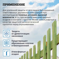 Антисептик GOLDBASTIK Биоконтакт 5 л BB 26 5