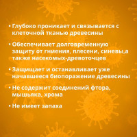 Антисептик GOLDBASTIK Биоконтакт 5 л BB 26 5