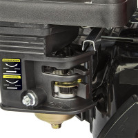 Двигатель бензиновый 4Т E650-Q19 DDE 792-865