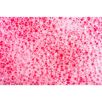 Поролоновая губка для тела EUROHOUSE Тонус, 9.5х13.9х5 см 3680