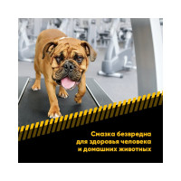 Смазка для беговых дорожек EFELE 100 г 0096988