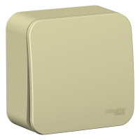 1-клавишный выключатель Systeme Electric открытой проводки Blanca 10А IP20 1 250В бежевый BLNVA101017