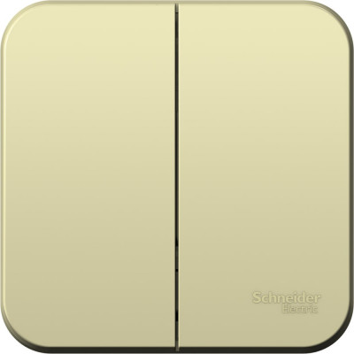 2-клавишный выключатель Systeme Electric открытой проводки Blanca 10А IP20 5 250В бежевый BLNVA105017