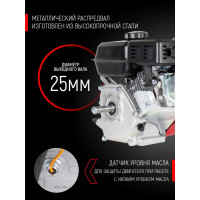 Двигатель GARDEN BS-450 12.5 кВт/17 л. с. VERTON 01.5985.8656